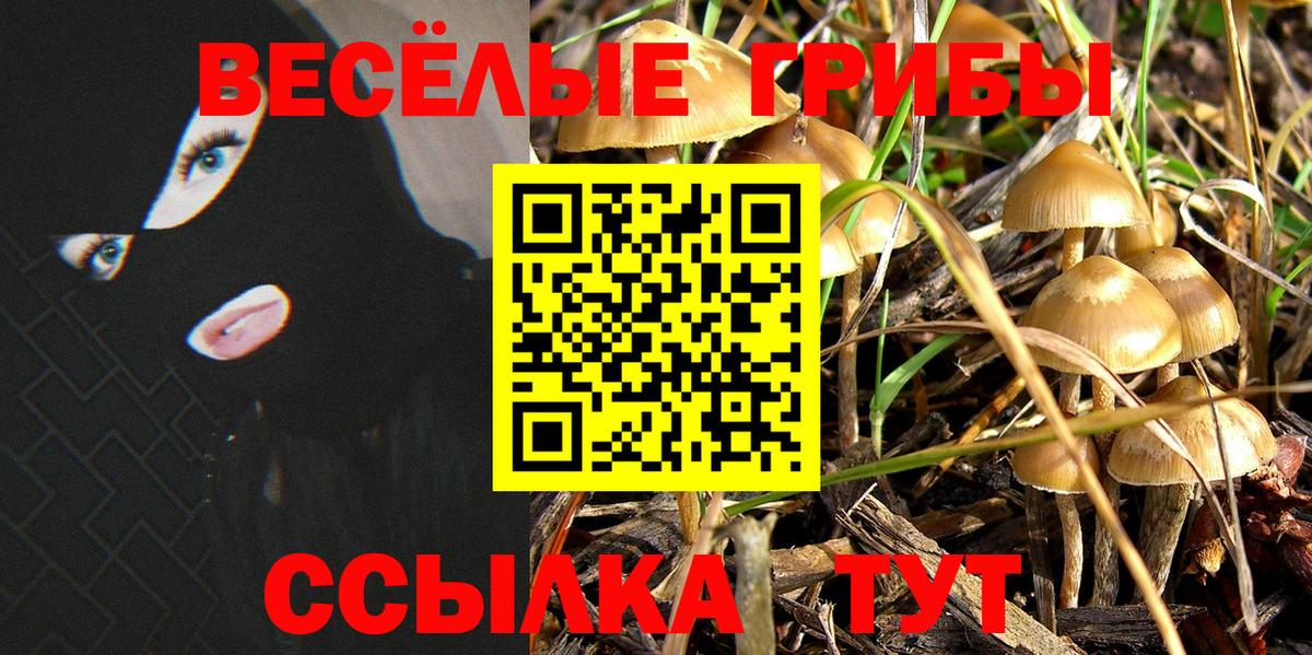 Галлюциногенные грибы MAGIC MUSHROOMS Лысьва